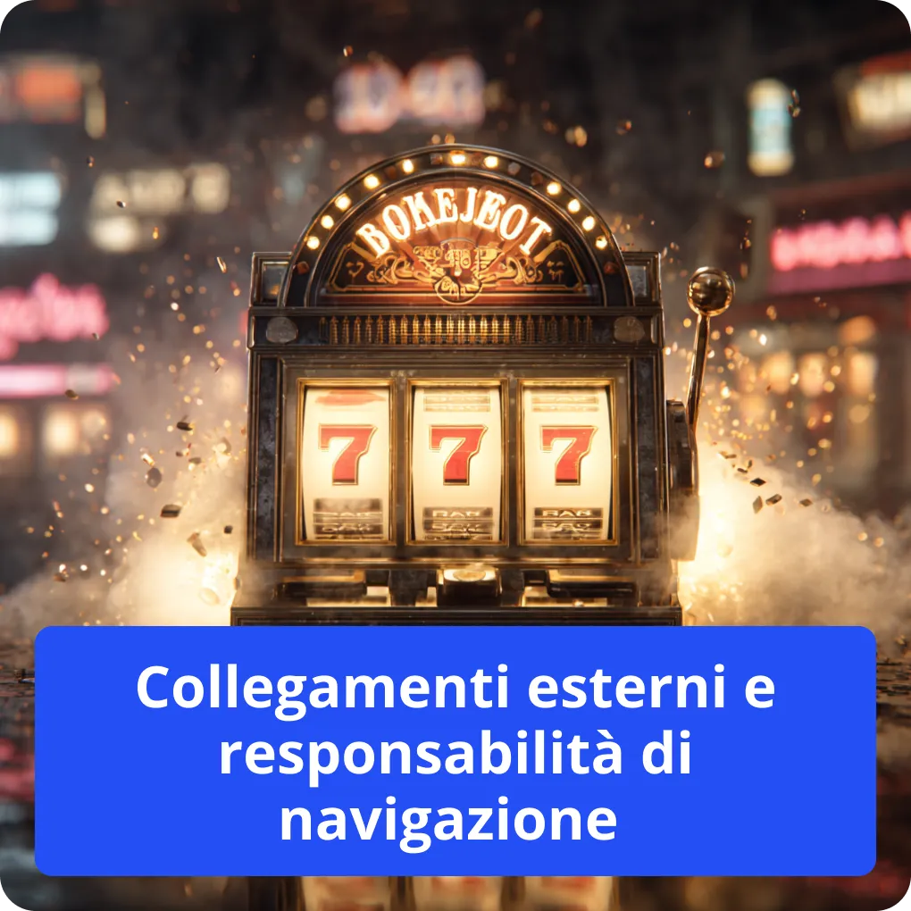 Collegamenti esterni e responsabilità di navigazione 